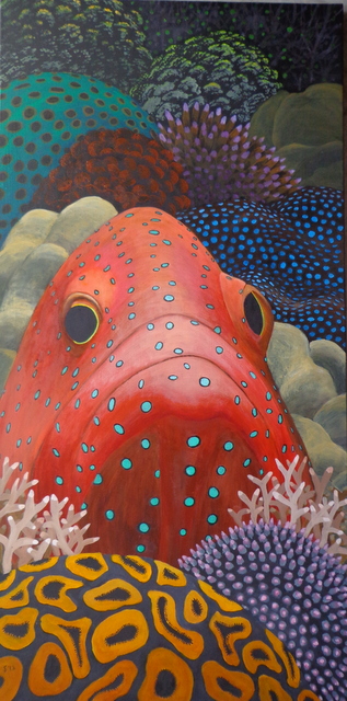 Curious grouper, Jay Maclean. 